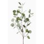 Ramo d'eucalipto artificiale COLTON, verde-grigio, 85cm
