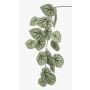 Ramo di begonie rex artificiale MEIRA, verde-grigio, 110cm