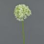 Allium artificiale ARNAU, verde crema, 60cm