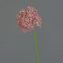Allium artificiale ARNAU, fucsia, 60cm
