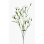 Fiore artificiale di garofano KANO, crema, 70cm