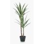 Yucca artificiale FRONTEIRA, 110cm