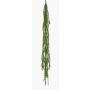 Cactus epiphyllum pensile BORNEO su stelo, verde, 120cm