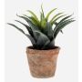 Agave di plastica SEDA in vaso di terracotta, verde, 20cm, Ø25cm