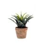 Agave di plastica SEDA in vaso di terracotta, verde, 20cm, Ø25cm