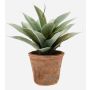 Agave di plastica DESIREE in vaso di terracotta, verde, 20cm, Ø25cm