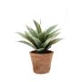 Agave di plastica DESIREE in vaso di terracotta, verde, 20cm, Ø25cm