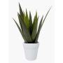 Aloe variegata artificiale MARTINEZ, vaso in ceramica, verde, 30cm, Ø17cm