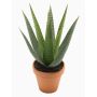 Aloe variegata artificiale MARTINEZ, vaso di terracotta, verde, 30cm, Ø17cm