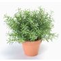 Rosmarino artificiale JOSHUA in vaso d'argilla, verde, 20cm, Ø17cm