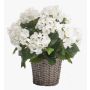 Ortensia artificiale JONE in cestino, bianco, 45cm