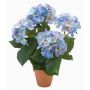 Ortensia artificiale JONE in vaso d'argilla, blu, 40cm