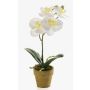Orchidea phalaenopsis artificiale SETH in vaso decorativo, crema, 25cm