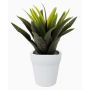 Agave di plastica SEDA in vaso di ceramica, verde, 25cm, Ø25cm