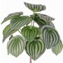Pianta artificiale di peperomia ALARA su stelo, verde, 25cm