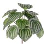 Pianta artificiale di peperomia ALARA su stelo, verde, 25cm