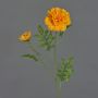 Fiore artificiale di tagete ASTIE, arancione, 60cm, Ø5-9cm