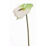 Anturio artificiale MOIRA, bianco-verde, 75cm, 13x18cm