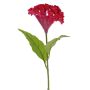 Cresta di gallo artificiale ANUBIS, viola-rosso, 60cm, Ø14cm