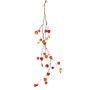 Ghirlanda di physalis artificiale PAX con frutti, rosso-arancione, 120cm