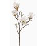 Magnolia stellata artificiale AZULA, bianco, 60cm, Ø9-11cm