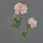 Peonia artificiale ONYX, crema-rosa, 70cm, Ø10-13cm