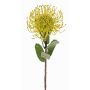 Protea artificiale BAILY, giallo, 50cm, Ø12cm