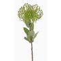 Protea artificiale BAILY, verde, 50cm, Ø12cm