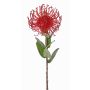 Protea artificiale BAILY, rosso, 50cm, Ø12cm
