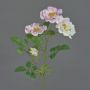Rosa selvatica artificiale BALOU, bianco-rosa, 60cm, Ø7-9cm