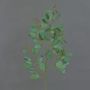 Ramo di eucalipto artificiale COBAR con fiori, zona trasversale, verde, 65cm