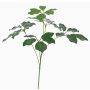 Ramo di schefflera artificiale CAPONE, zona trasversale, verde, 50cm