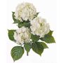 Ortensia artificiale SAIRA, stelo, zona trasversale, crema, 40cm, Ø11-13cm