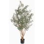 Olivo artificiale ROY, tronchi veri, zona trasversale, 165cm