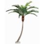 Palma fenice artificiale HARPER, zona trasversale, 340cm