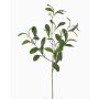Ramo di vischio artificiale SAJAN con bacche, verde, 55cm