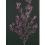 Ramo di larice artificiale FLEKY, con brillantini, lilla, 75cm