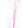 Rametti decorativi di Mitsumata GERY, 3 pezzi, rosa, 105cm