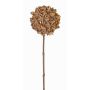 Ramo artificiale di anice stellato CATBERT, marrone chiaro, 70cm, Ø10cm