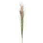 Ramo decorativo canna FROGIL con pannocchie, verde-beige, 135 cm