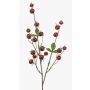 Ramo decorativo rosa di Brevonia con bacche di rosa canina, rosso, 80 cm