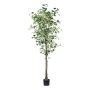 Albero artificiale Ginkgo MERLIM con tronco artificiale, 210 cm