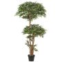 Albero artificiale Ruscus NEOSHO in vaso decorativo, tronchi naturali, 170cm