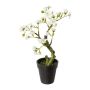 Albero artificiale bonsai di mandorlo OYOS in vaso decorativo, con fiori, bianco, 26 cm