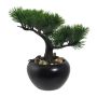 Albero artificiale bonsai pino FALKE con radici, vaso in ceramica, 19 cm