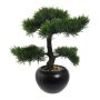 Albero artificiale bonsai cedro FALKE, vaso in ceramica, 35 cm