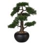 Albero artificiale bonsai cedro FALKE, vaso in ceramica, 50 cm