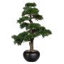 Albero artificiale bonsai cedro FALKE con radici, vaso in ceramica, 70 cm