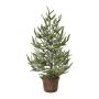 Albero decorativo abete rosso MALKE in vaso decorativo, innevato, 65 cm