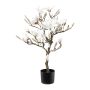 Albero artificiale magnolia DOLS, tronco artificiale, con fiori, innevato, 85 cm